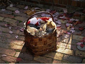 《八方旅人2》PS5  VS  Switch画质对比