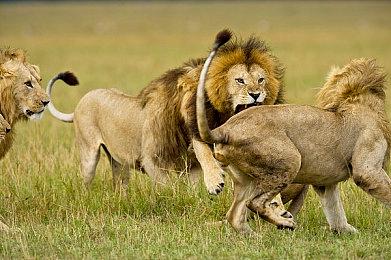 PS PLus八月新入库游戏公布：《真人快打》《漫威蜘蛛侠》等